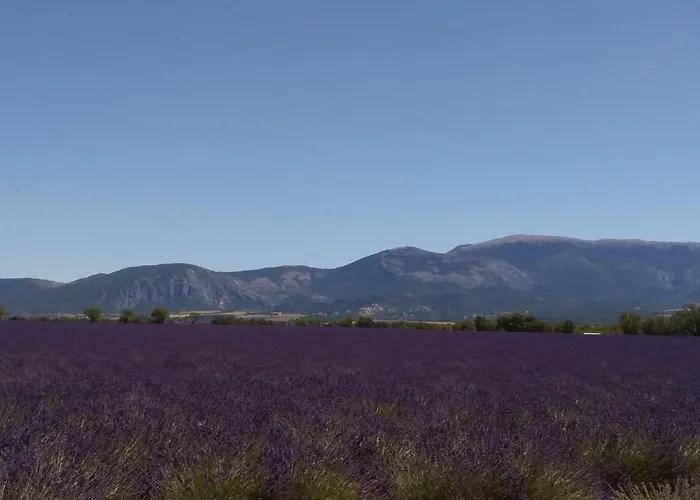 Appartement Avec Grande Terrasse Privative En Parc Regional Du Verdon