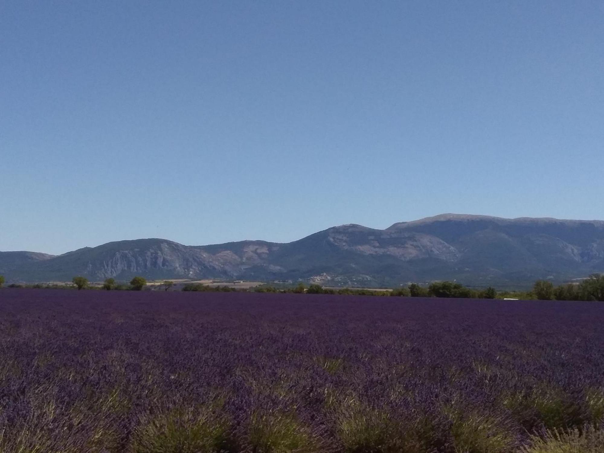 Avec Grande Terrasse Privative En Parc Regional Du Verdon *
